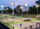 Intramural Sports